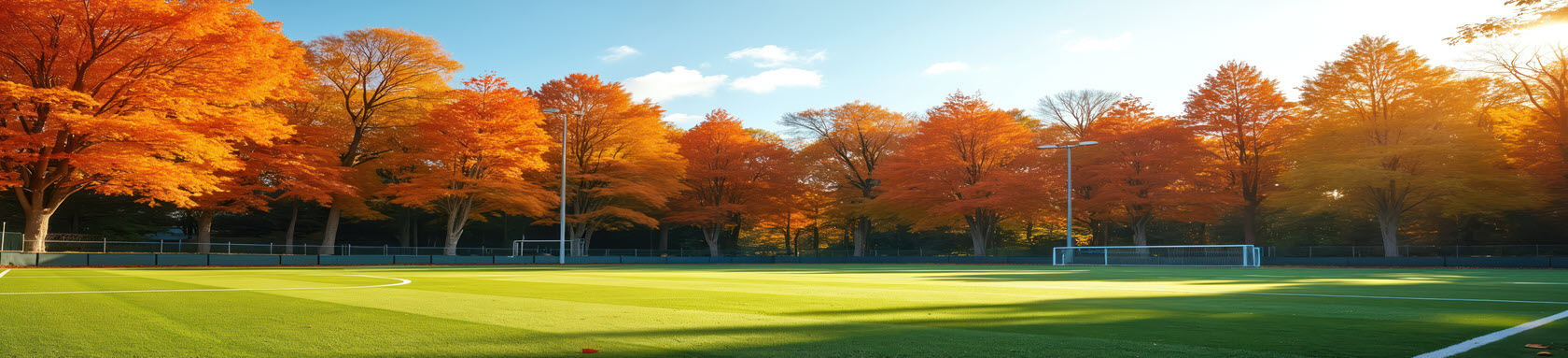 Fall Sport Field