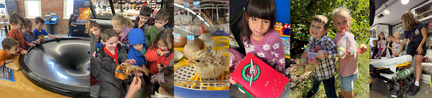 Signature Experiences Elementary Banner