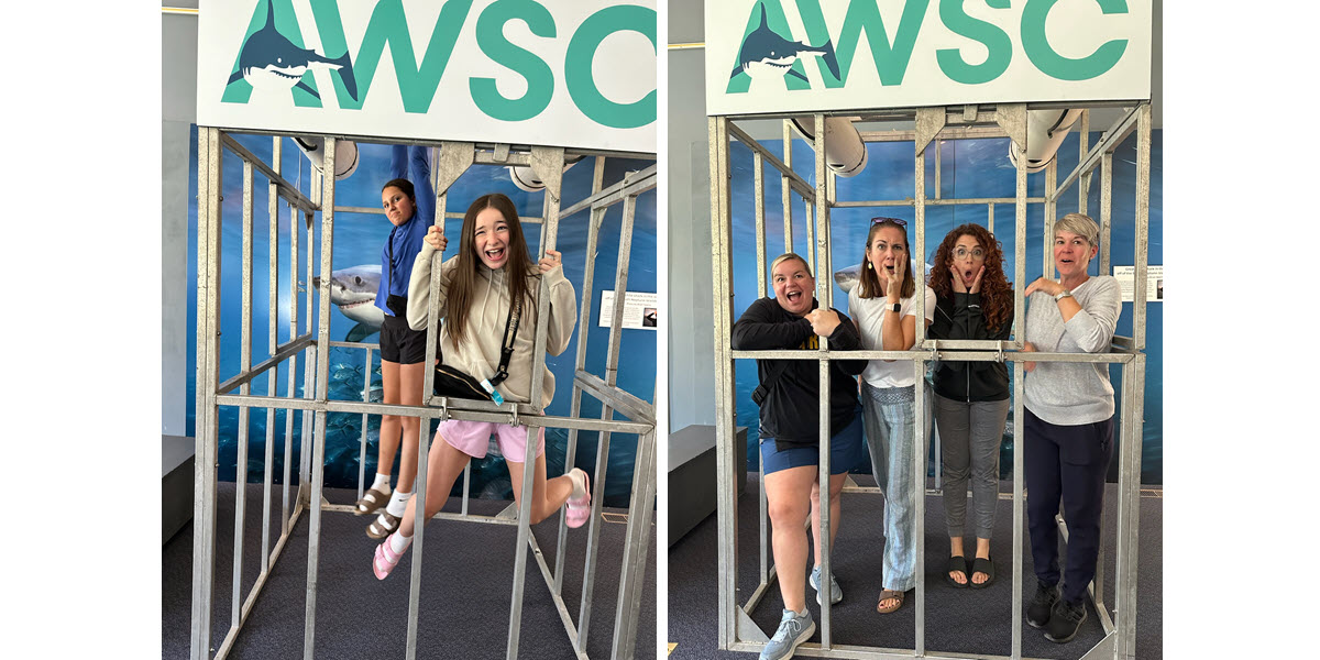 AWSC Cage