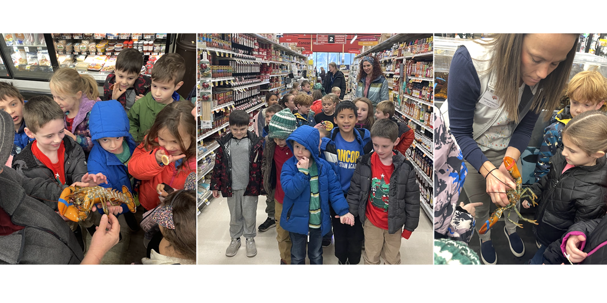 First Grade Health and Wellness